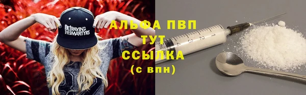 круглые Белокуриха