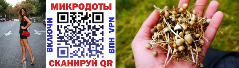 цены наркотик  Гатчина  Галлюциногенные грибы мицелий 
